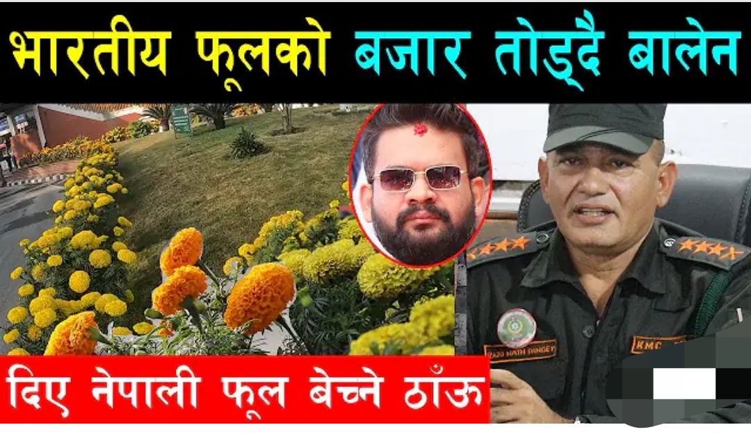 After the flowers of the Nepalese farmers have faded, the action of Balen, the place where the flowers can be sold has been determined, SSP Raju Pandey in the field.